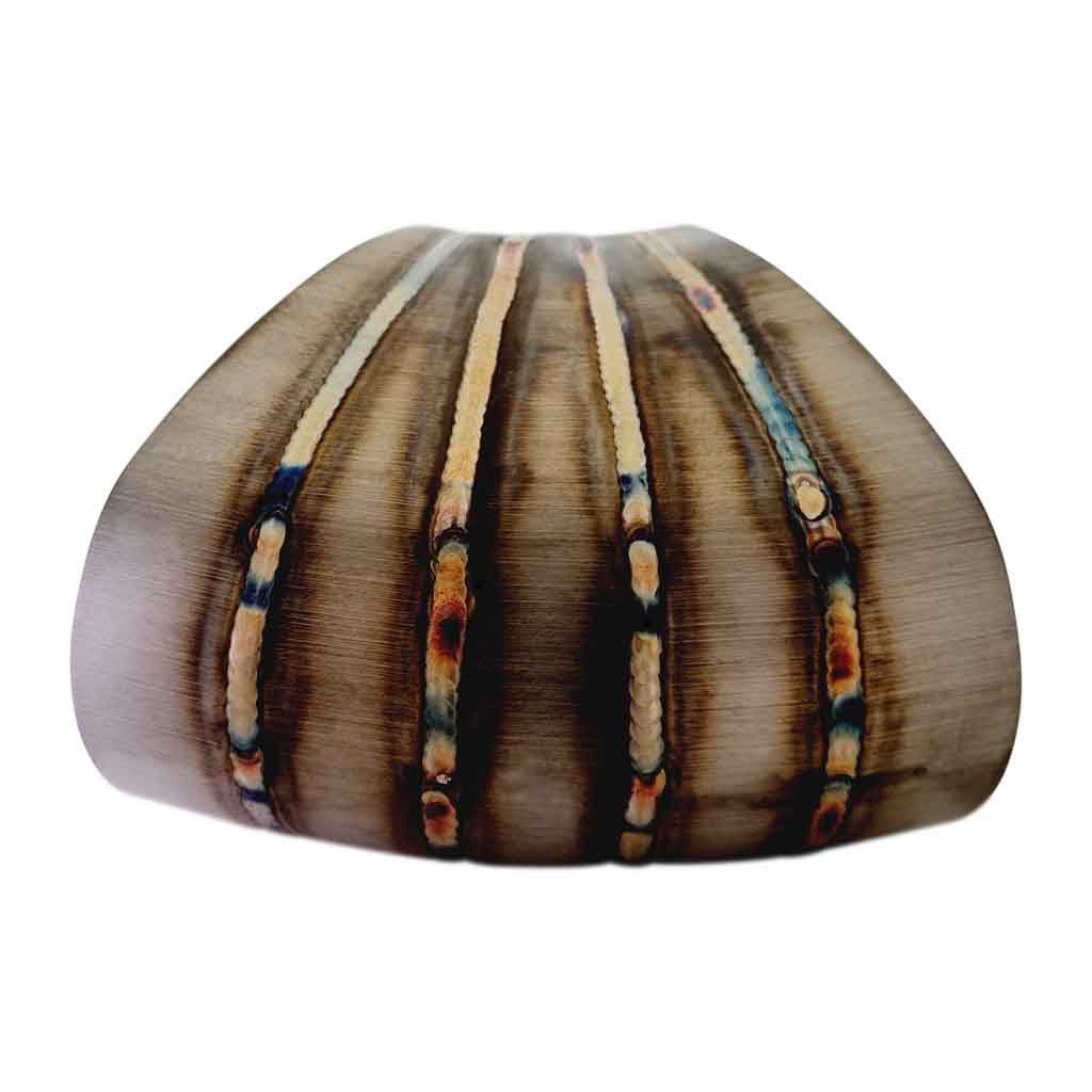 4" (63*125) Welded Horizontal Pie Cuts SS304 Brushed 9° 45